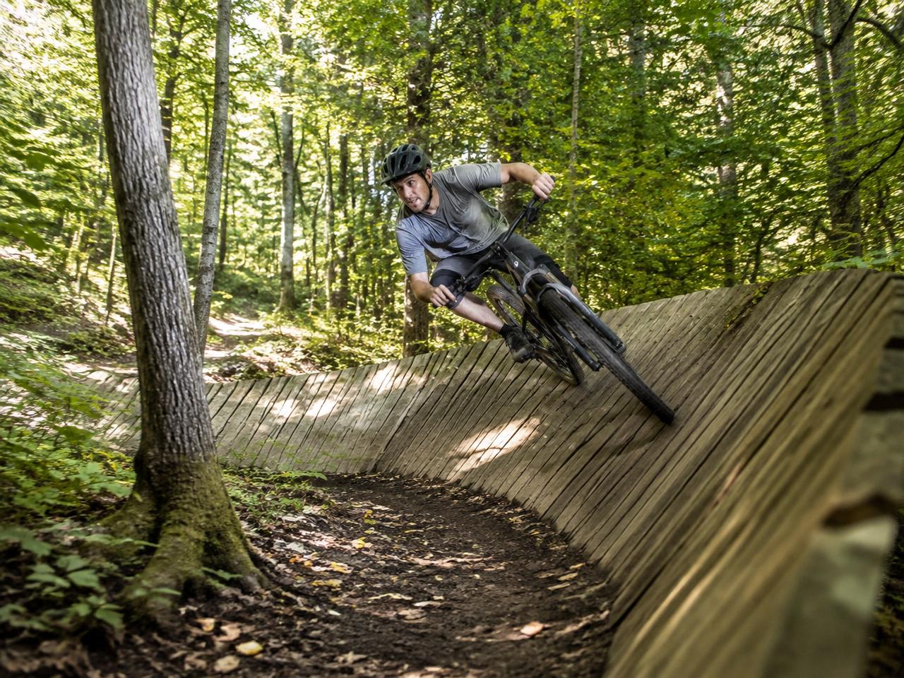 Illustrative photo: a mountain biker on a wooded trail berm